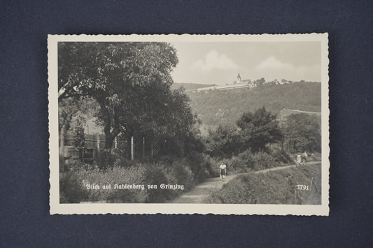 Pohlednice Blick auf Rahlenberh von Brinzig