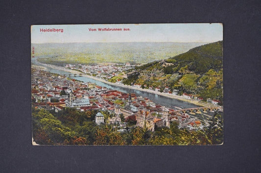 Pohlednice Heidelberg Vom Wolfsbrunnen aus.