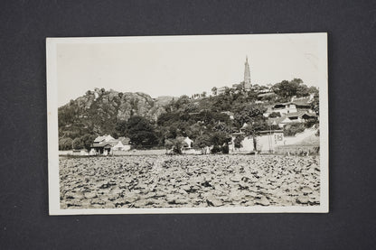 Pohlednice Post Card