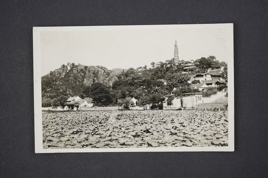 Pohlednice Post Card