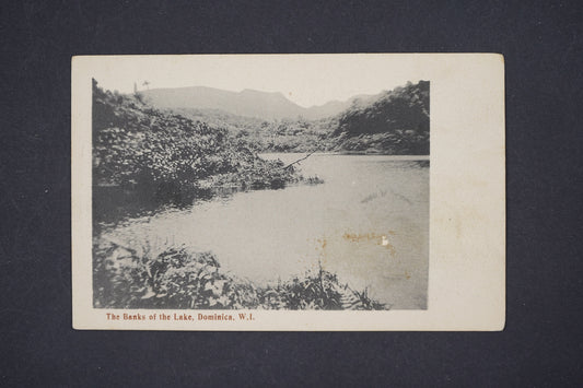 Pohlednice The Banks of the Lake Dominica (Amerika)