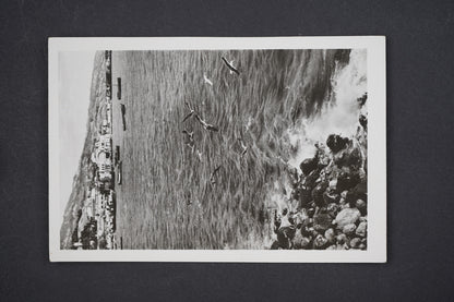 Pohlednice RUSKO (x5693)