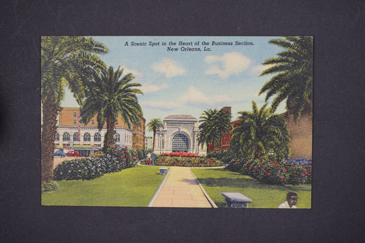 Pohlednice ELKS PLACE (x5700)