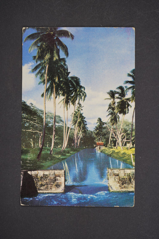 Pohlednice JAMAICA (x5704)