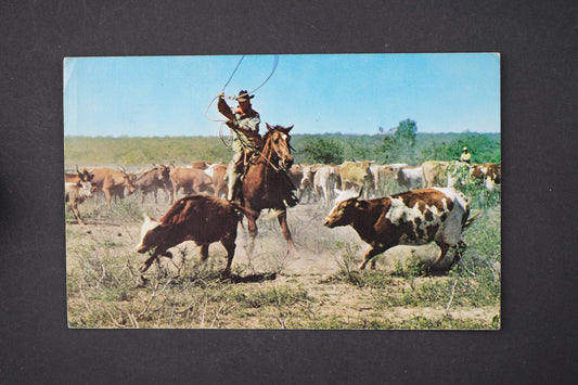 Pohlednice COWBOY KOVBOJ USA (x5784)