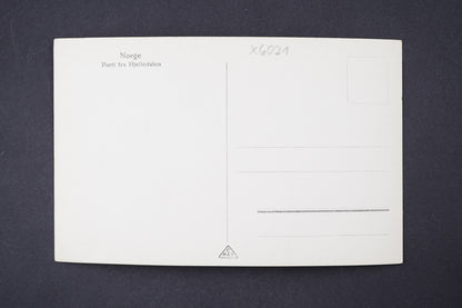Pohlednice Norge Parti fra Hjelledalen (x6021)