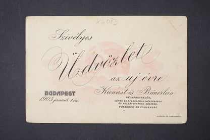 Pohlednice Budapest 1905 (x6083)