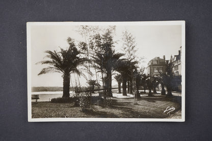Pohlednice Cote D'Émeraude Dinard - La Palmeraie (x6142)