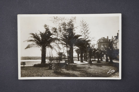 Pohlednice Cote D'Émeraude Dinard - La Palmeraie (x6142)