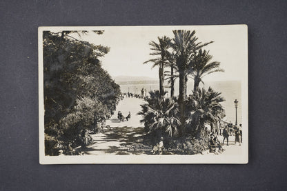 Pohlednice MONTE CARLO (x6145)