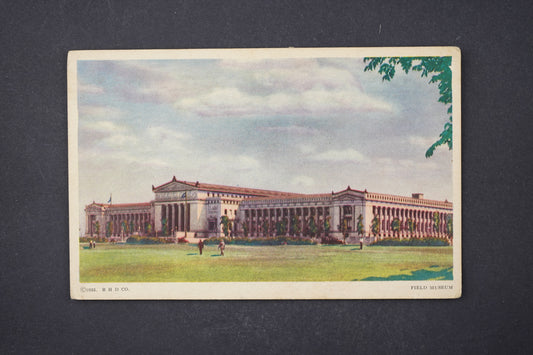 Pohlednice Field Museum (x6251)