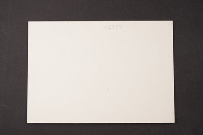 Pohlednice Křesadlová Věra a Jiří Datel Novotný (x6379)