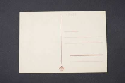 Pohlednice Pohlednice gymnastika A. L. Salač (x6458)