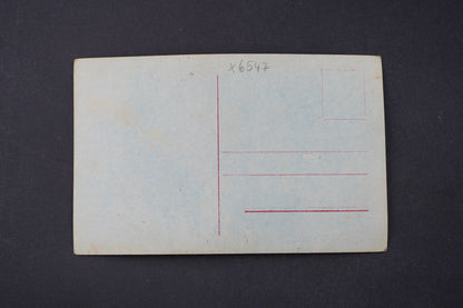 Pohlednice Alice Terry (x6547)
