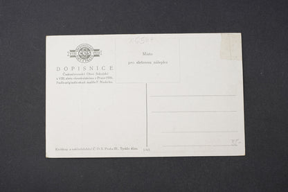 Pohlednice VIII. Slet Všesokolský Praha 1926 (x6567)