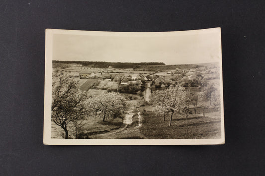 Postcard Jedomělice (x6888)