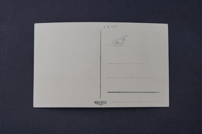 Pohlednice Olomoc Msarykovo náměstí (x7201)