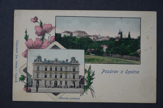 Postcard Greetings from Opočno collage x8622