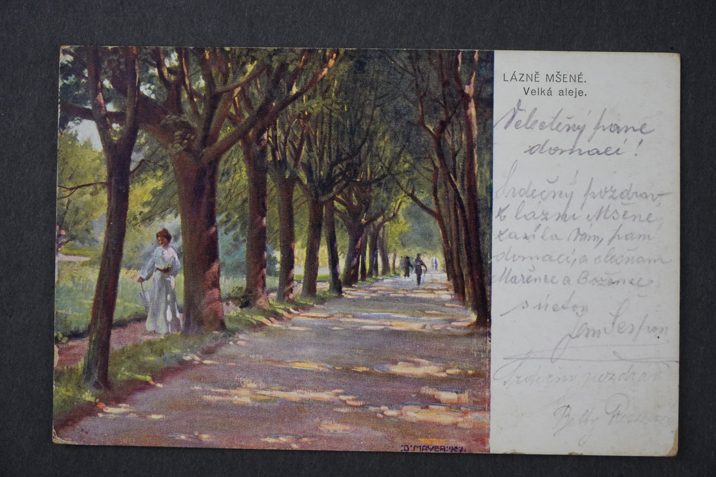 Postcard Spa Mšené Velká aleje x8634