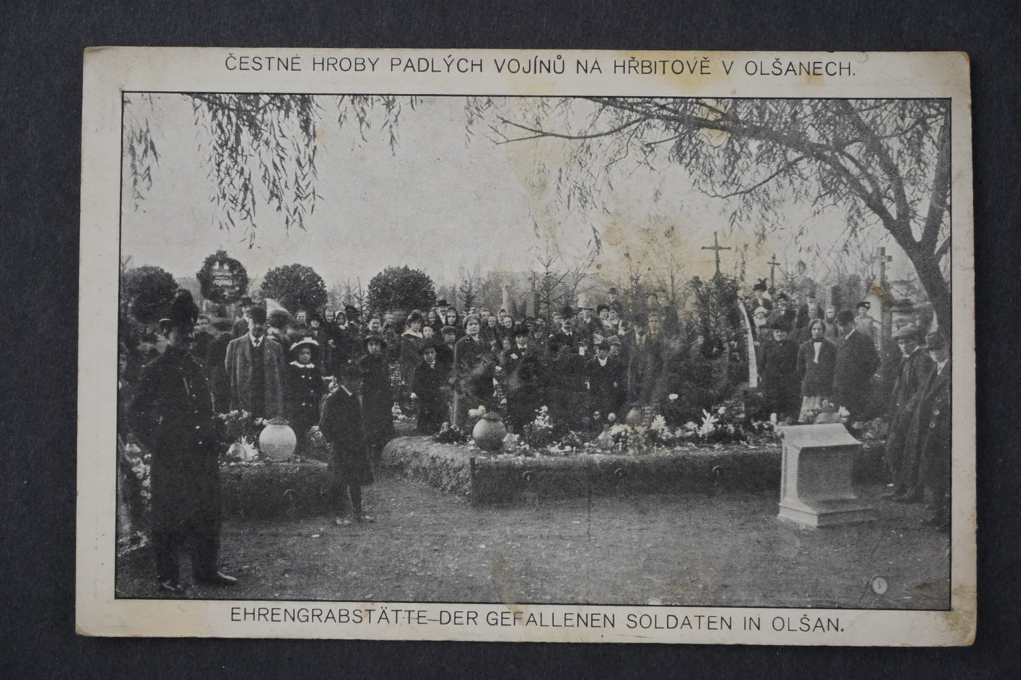 Pohlednice Čestné hroby padlých vojínů na hřbitově v OLŠANECH x8655