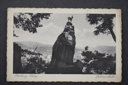 Postcard Karlovy Vary Deer Jump x8679