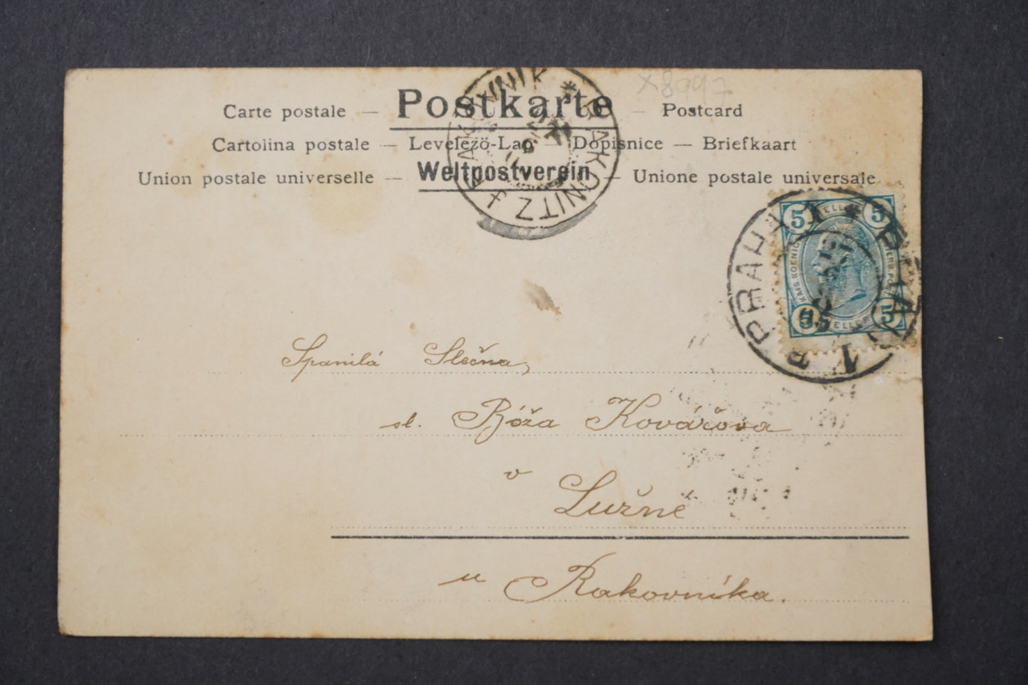 Pohlednice květina original photochromie N & O x8997