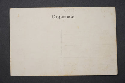 Pohlednice STARÁ FOTOGRAFIE DÍVKY KLOBOUK MÓDA 1900S x8999