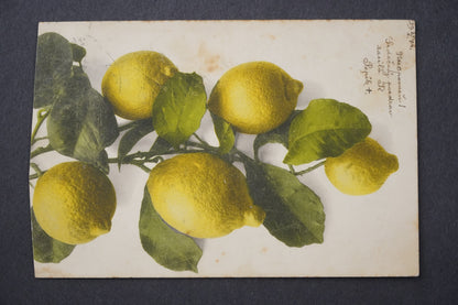 Pohlednice CITRONY RAKOVNÍK x9061