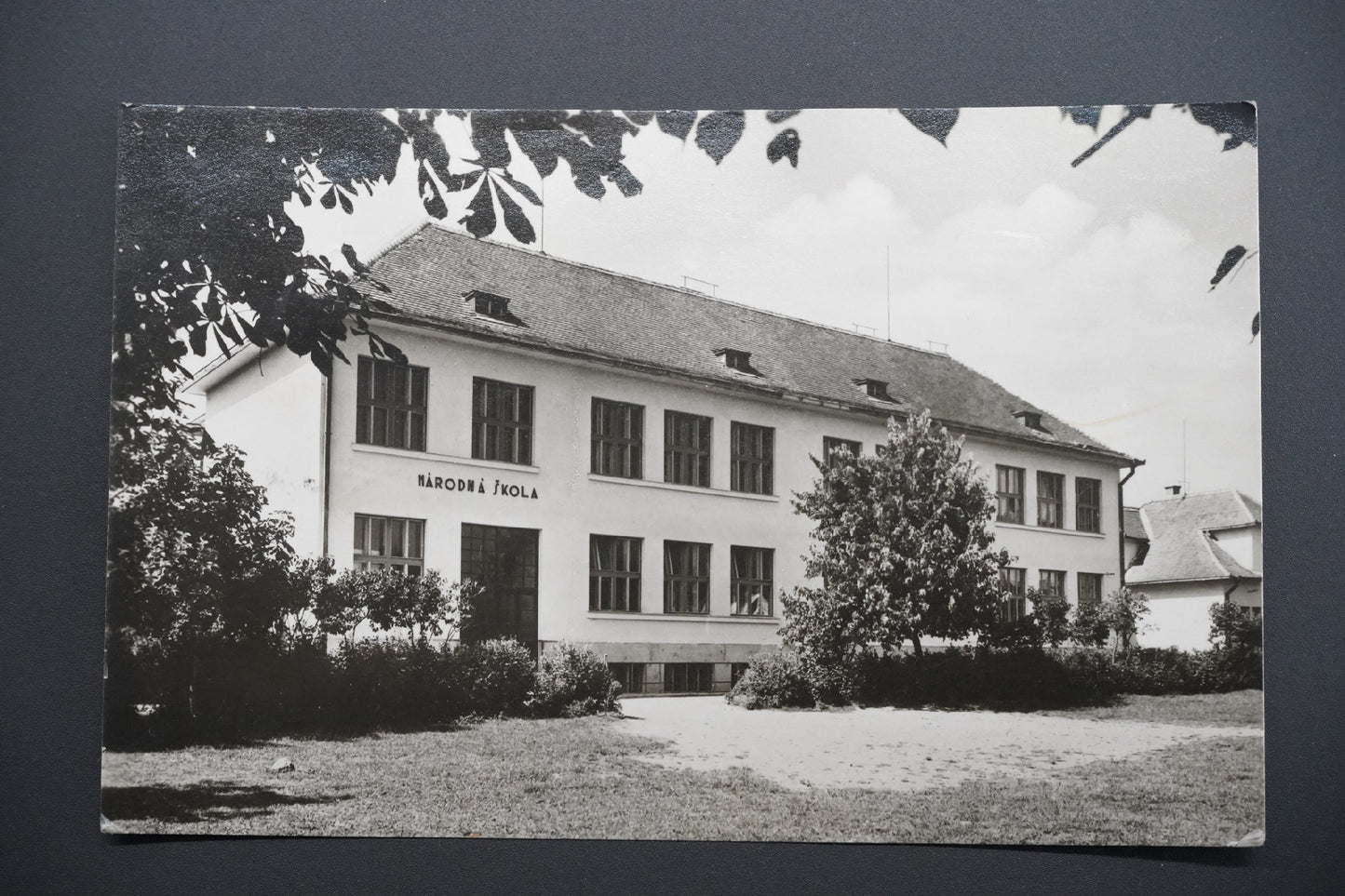 Postcard ZBOROV (x9531)