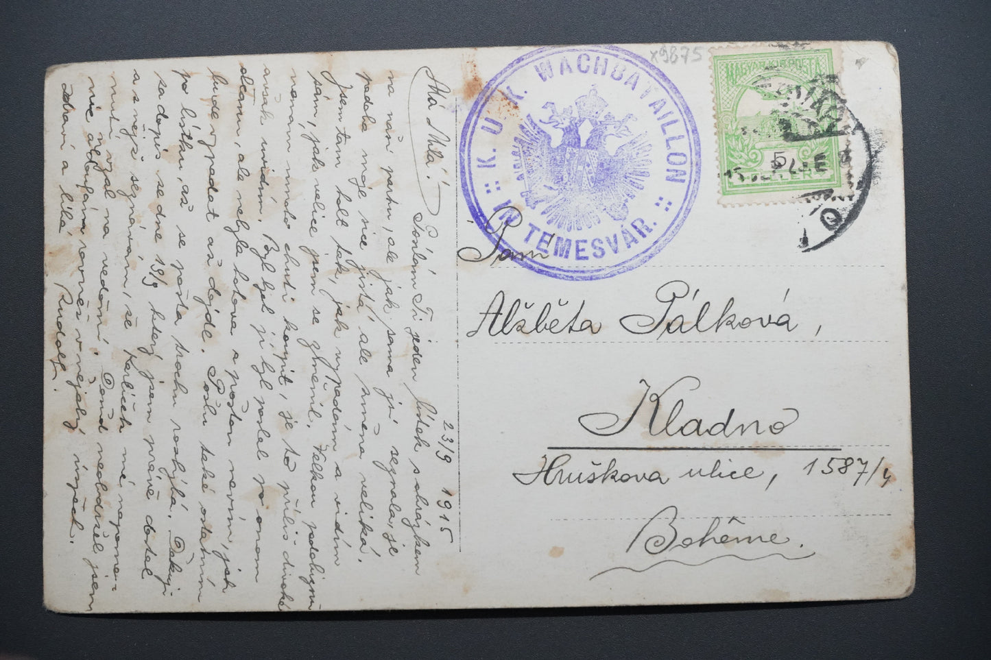 Pohlednice K.u.k. Wachbataillon – Temesvár, vojáci (x9875)