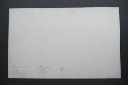 Pohlednice C. Schweninger – Přelud, Storm-wind (x9912)
