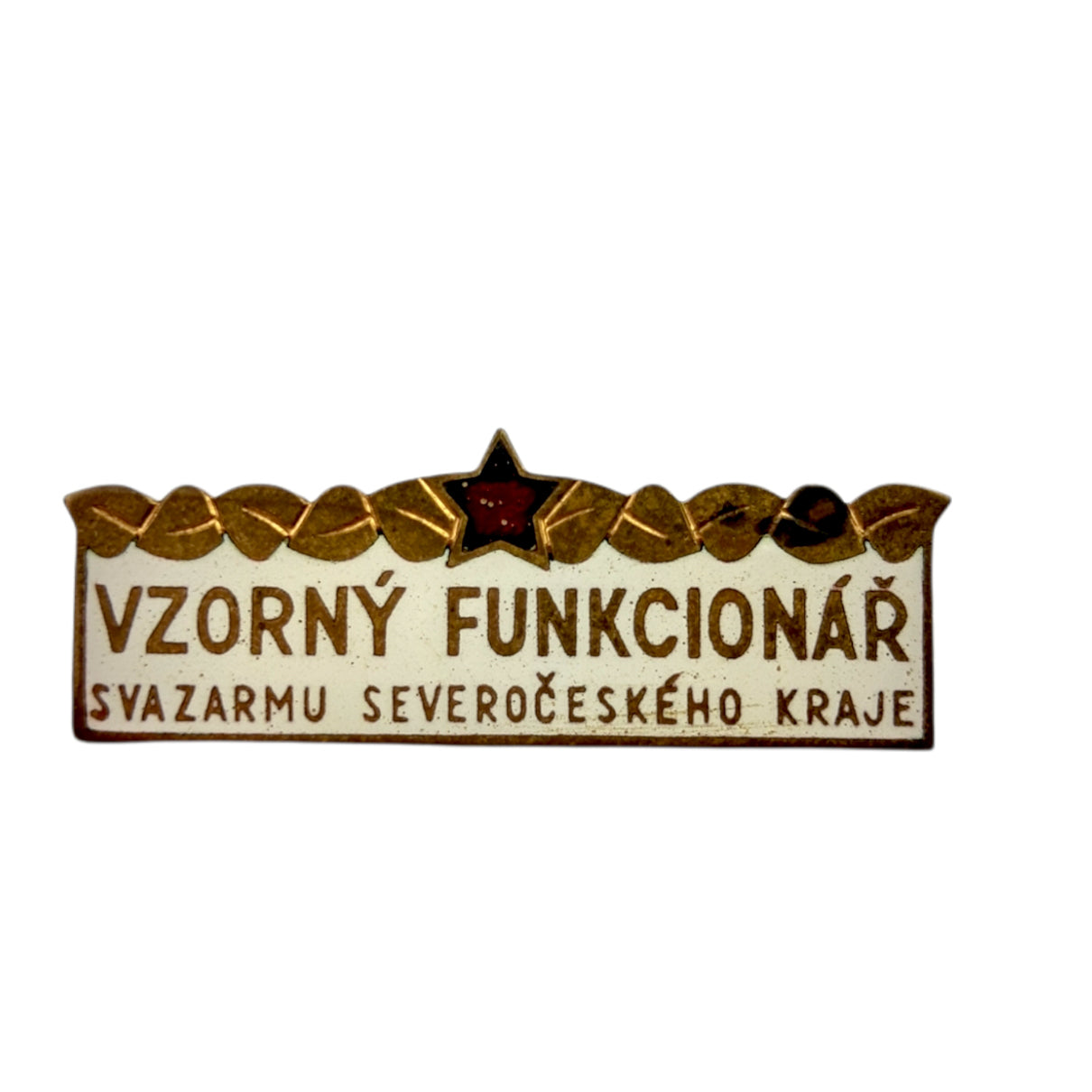 VZORNÝ FUNKCIONÁŘ SVAZRMU SEVEROČESKÉHO KRAJE