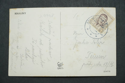 Pohlednice Králíky x9998