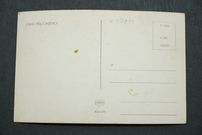 Postcard Spa Velichovky x10011
