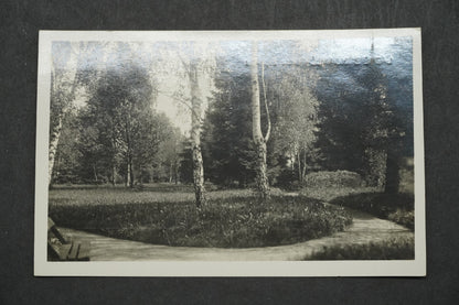 Pohlednice Lázně Bohdaneč Partie z parku x10022