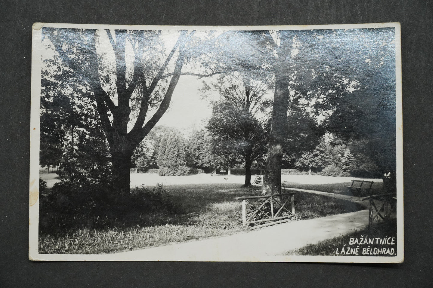 Pohlednice Bažantnice lázně Bělohrad x10025
