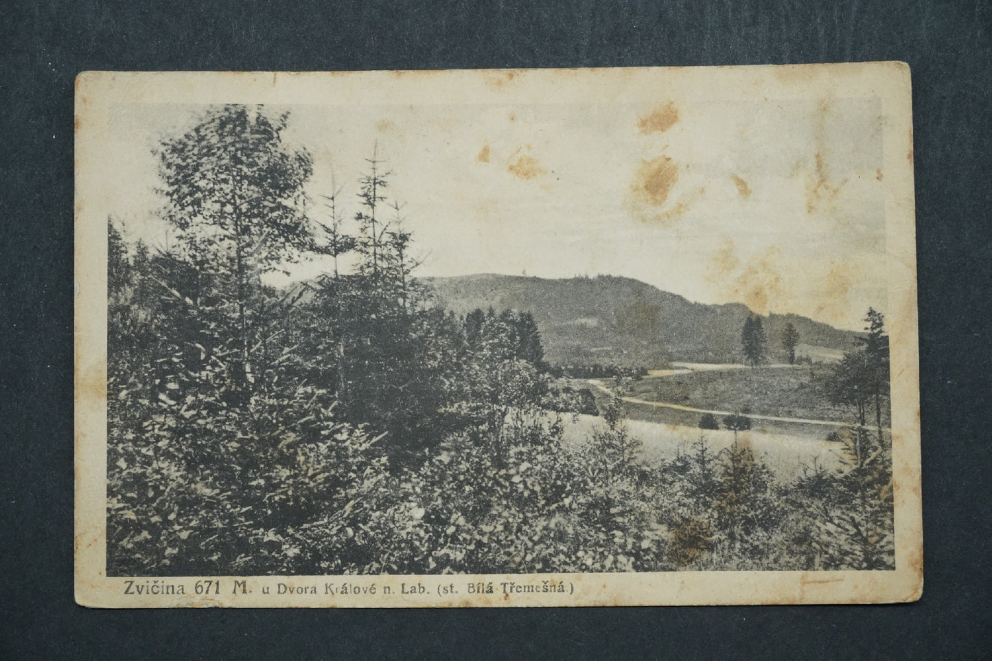Pohlednice Zvičina u Dvora Králové n. Lab. x10028