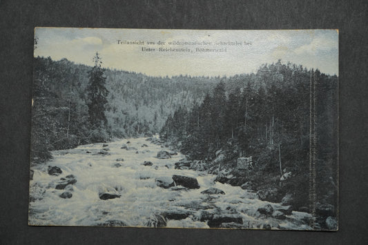 Pohlednice Teilansicht aus der wildromantischen x10082