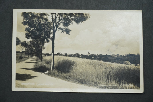 Pohlednice Krkonoše, vysoké nad Jiz x10109