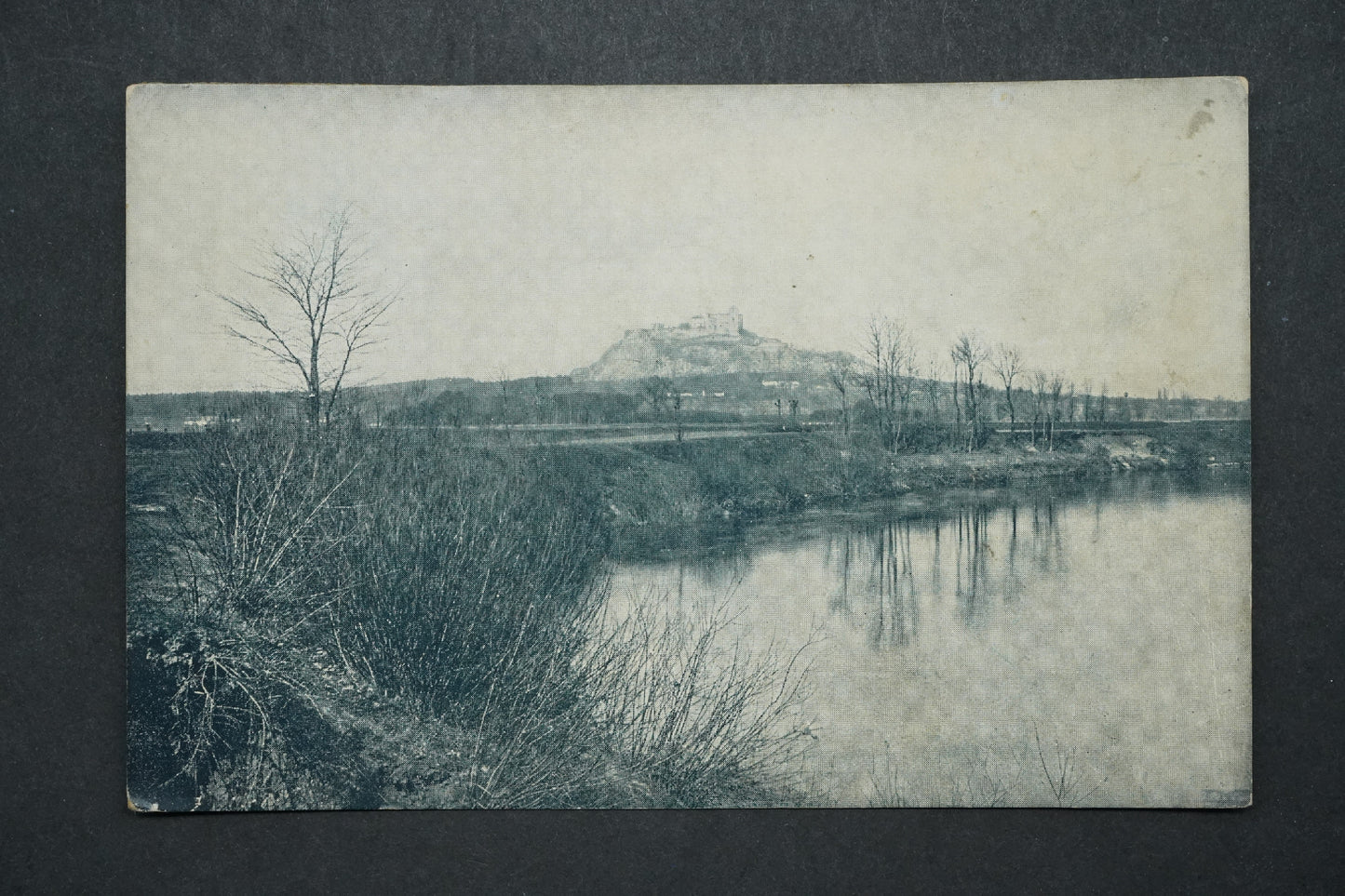 Postcard Kuňka x10203