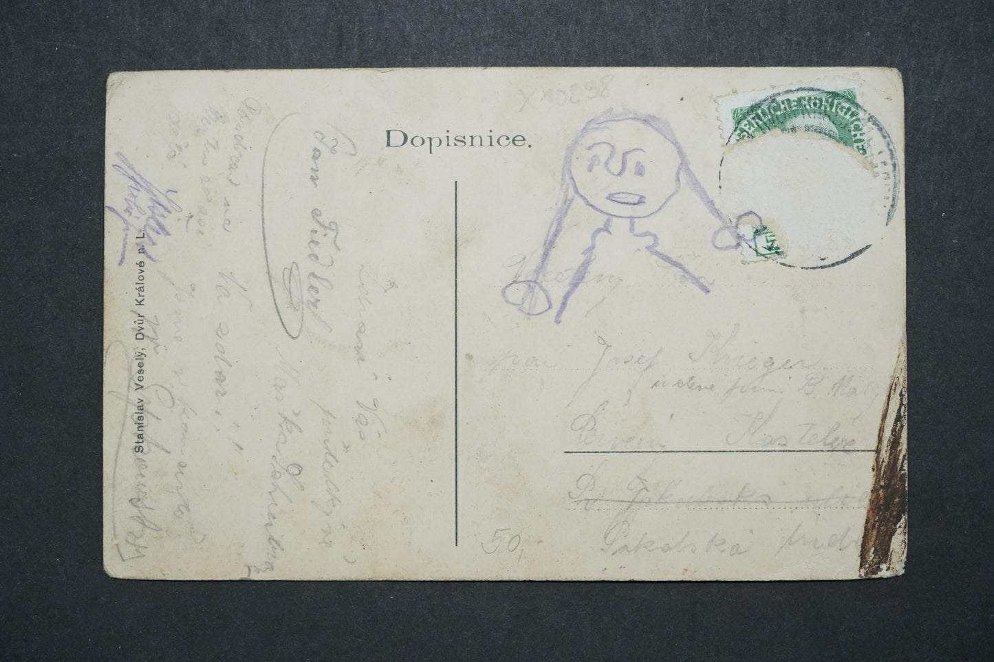 Pohlednice Dvůr Králové n.L x10238