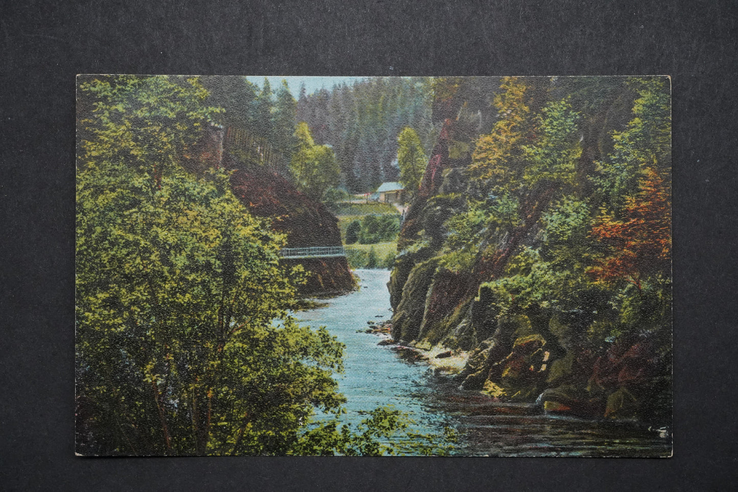 Pohlednice Partie z Riegerovy stezsky x10248