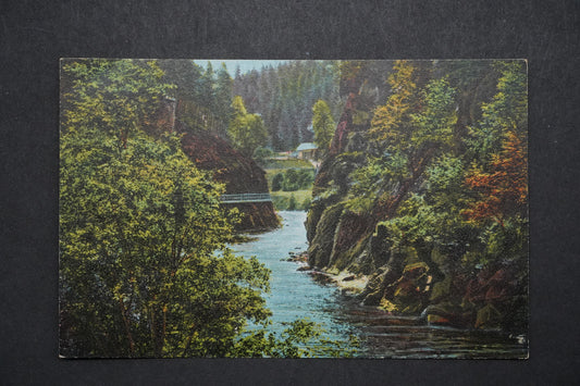 Pohlednice Partie z Riegerovy stezsky x10248