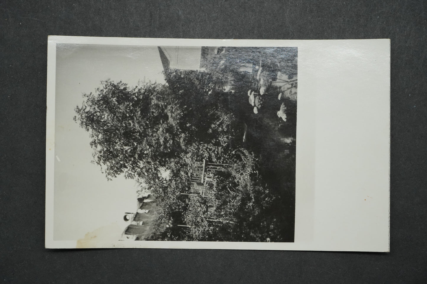 Postcard Sand x10276