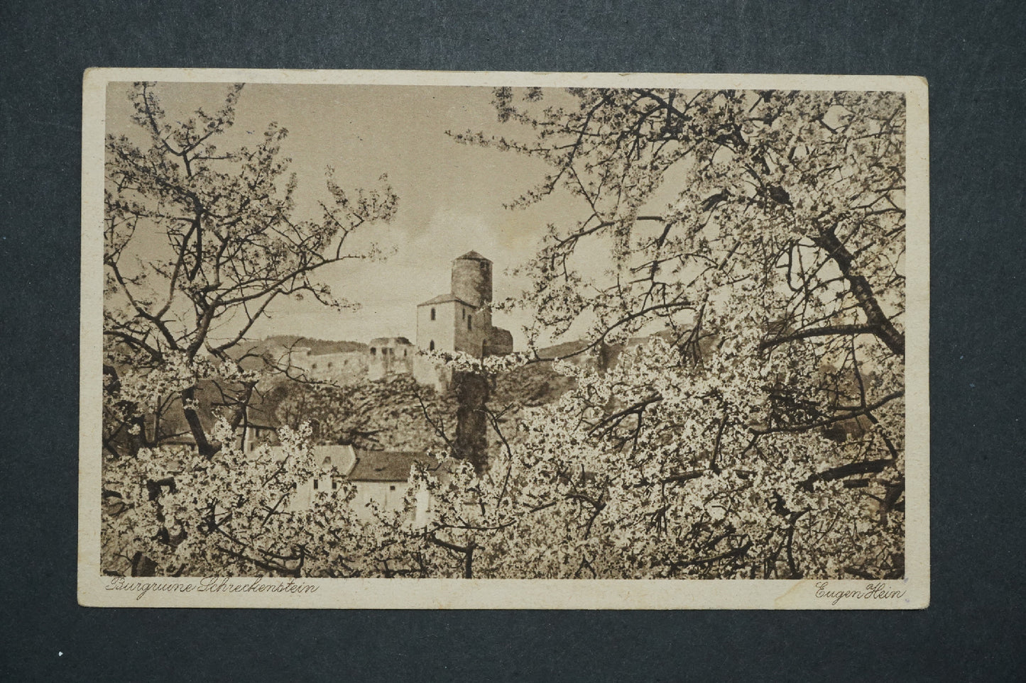 Pohlednice Burgruine Schreckensien Eugen Hein ELBTALE x10384