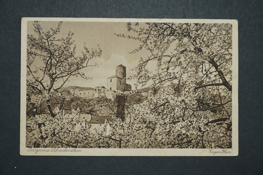 Pohlednice Burgruine Schreckensien Eugen Hein ELBTALE x10384