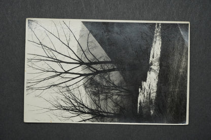 Pohlednice Stromové údolí u potoka x10470