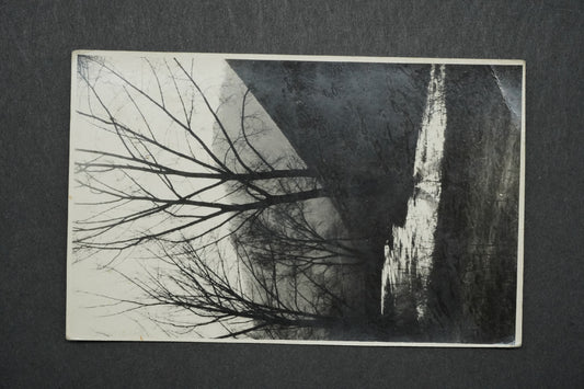 Pohlednice Stromové údolí u potoka x10470