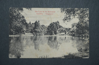 Pohlednice The Lake in the Botanical -Gardens Singapore x10493