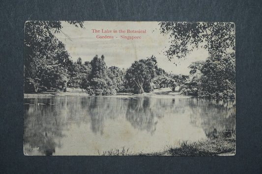 Pohlednice The Lake in the Botanical -Gardens Singapore x10493